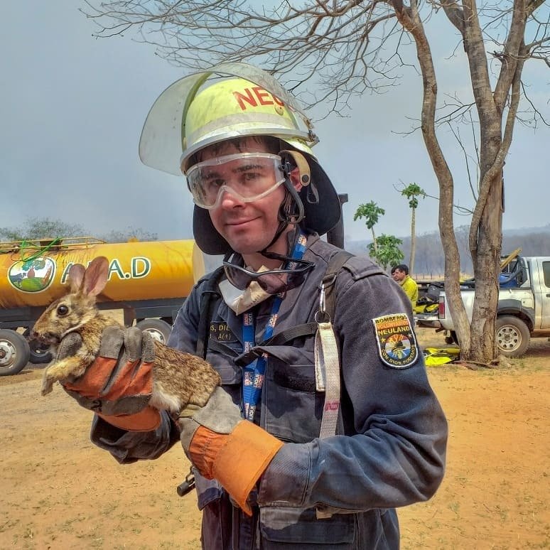 Ro_wachugi's tweet photo. "El calor es tan fuerte que até con alambre mis botas para que no se despeguen", Diego Guanes, bombero del Chaco, pide donaciones para continuar rescatando animales y conteniendo el fuego en el Chaco junto a sus compañeros de Filadelfia y Loma Plata.

📞0984817999
@Universo970py https://t.co/5aal34R4ET