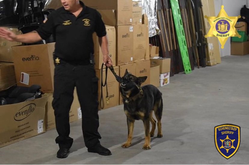 schenectady_s's tweet photo. Schenectady County K9 #robo our shoeing his skills to our #explorers who are taking part in our #explorerprogram #k9unit #scsok9unit thank you to one of our explorers @robert_miller_esp for the pictures. #SCSO @NYSheriffs @NationalSheriff @MCSheriffs @K9Leonidas @NatPoliceAssoc https://t.co/fEnKpbXw9m