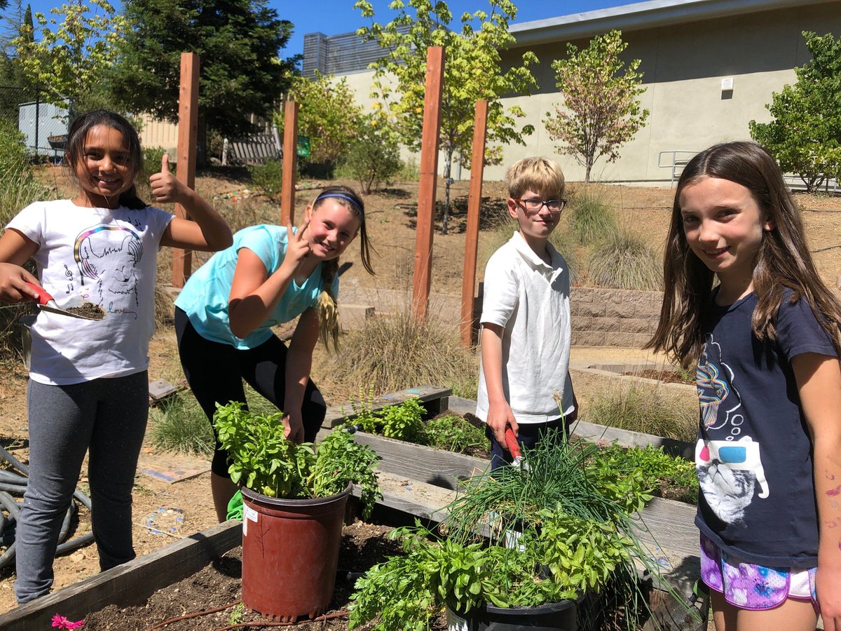 LexWildcatsLG's tweet photo. Amazing harvest from the gardens yesterday!! #weareLGUSD #weareLEX #weareTeamLex #LexLifeLab #learnerprofile https://t.co/3vRBX5haS6