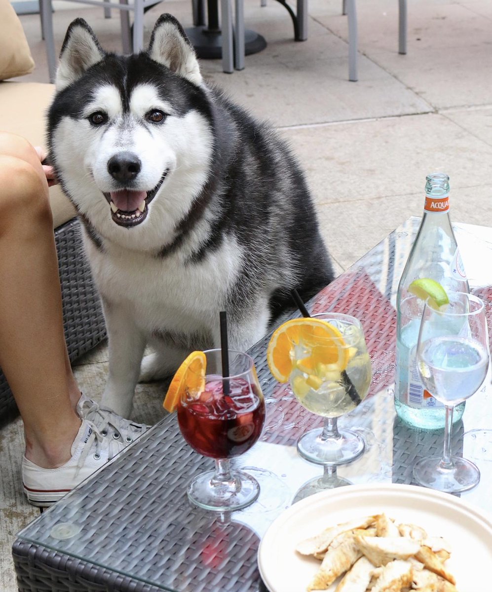 Patio Season isn't over just yet — & we'll be taking advantage of dining with our furry friends as long as possible! Have you checked out our #PuppyCiao Menu yet? 🐾 #FromScratch #DogFriendly #Patio #PuppyPatio bit.ly/2kQK7Aj via @ChooseChicago