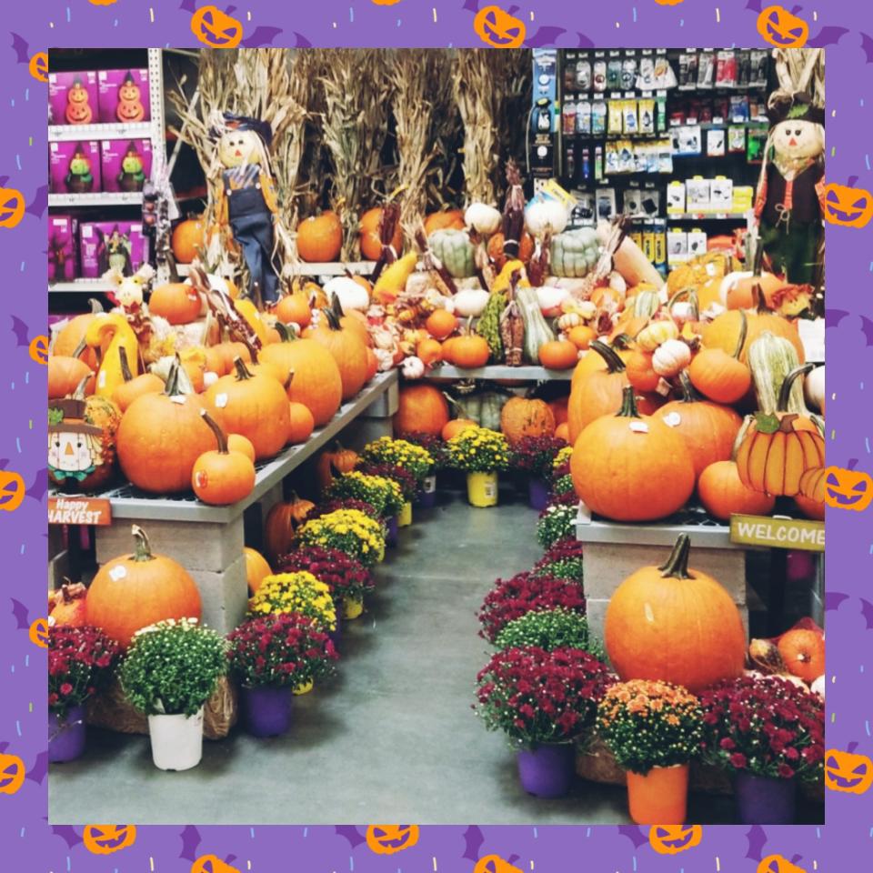 MarceloBoyd tweet media