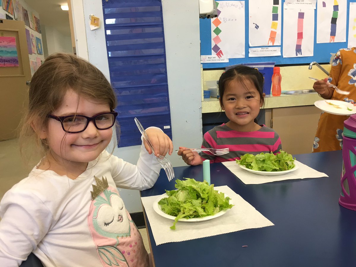 NoftallClass's tweet photo. Grade ones enjoying yummy salad with lettuce picked from our very own Gullies Garden!! @UGEABC @NLESDCA https://t.co/zYkbaizyIr