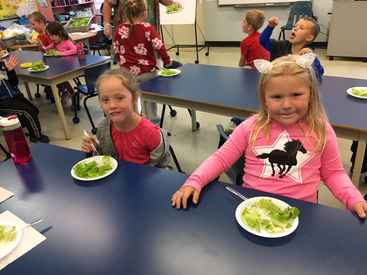 NoftallClass's tweet photo. Grade ones enjoying yummy salad with lettuce picked from our very own Gullies Garden!! @UGEABC @NLESDCA https://t.co/zYkbaizyIr