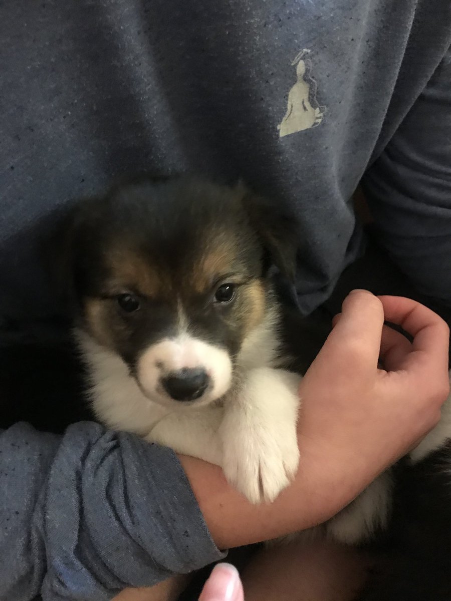 Crote_'s tweet photo. @PBMsmite https://t.co/T6PxxJhi5C