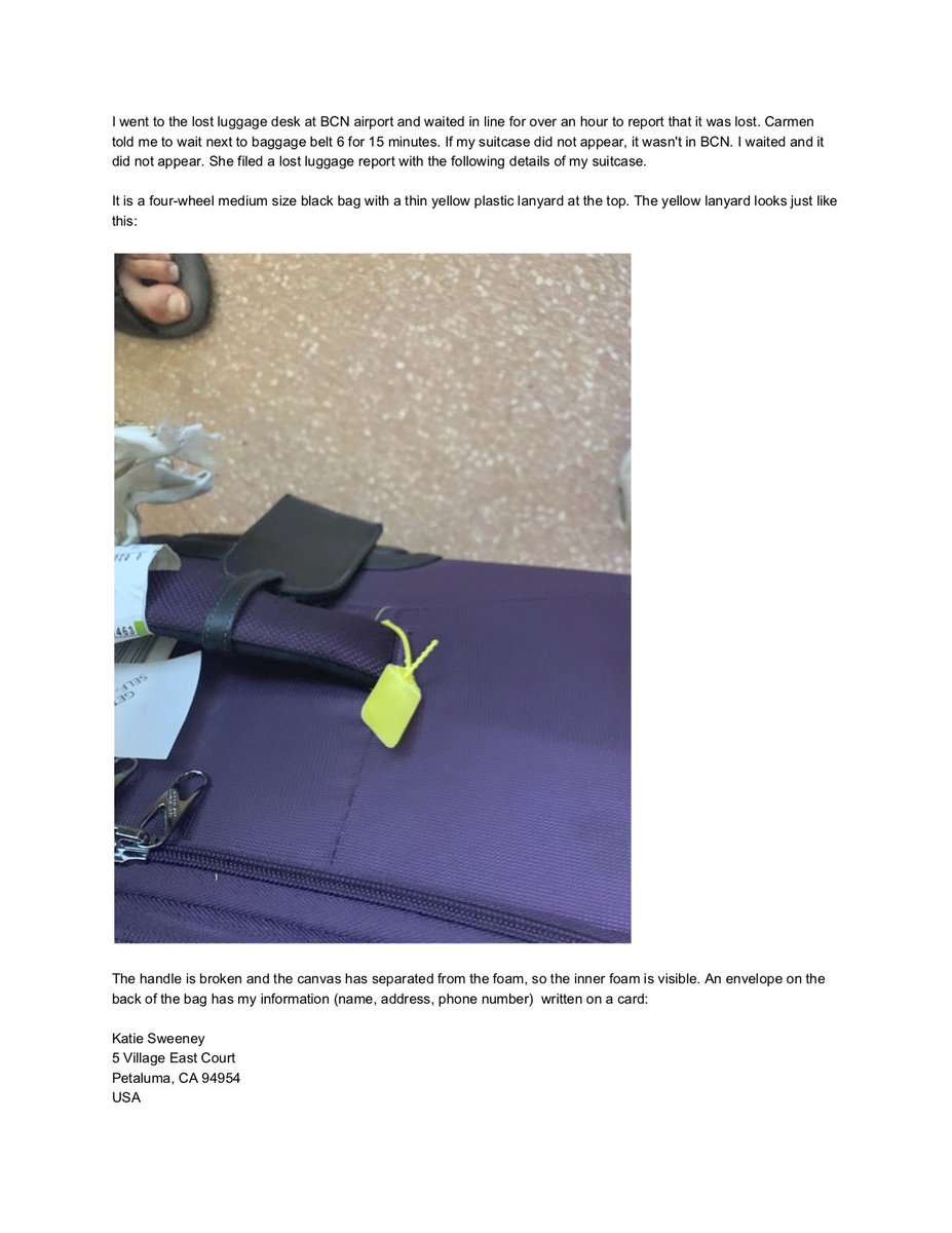 Katie Sweeney tweet media