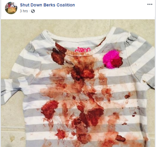 BucksCoKierstyn's tweet photo. This is the shirt of a toddler who vomited blood for 3 DAYS at the Berks County Detention Center before being taken to a hospital.

Let that sink in - 3 DAYS.

The inhumanity on display is staggering.

#ShutDownBerks
#NeverAgainIsNow
#KidsInCages https://t.co/lpkMM4YIPC