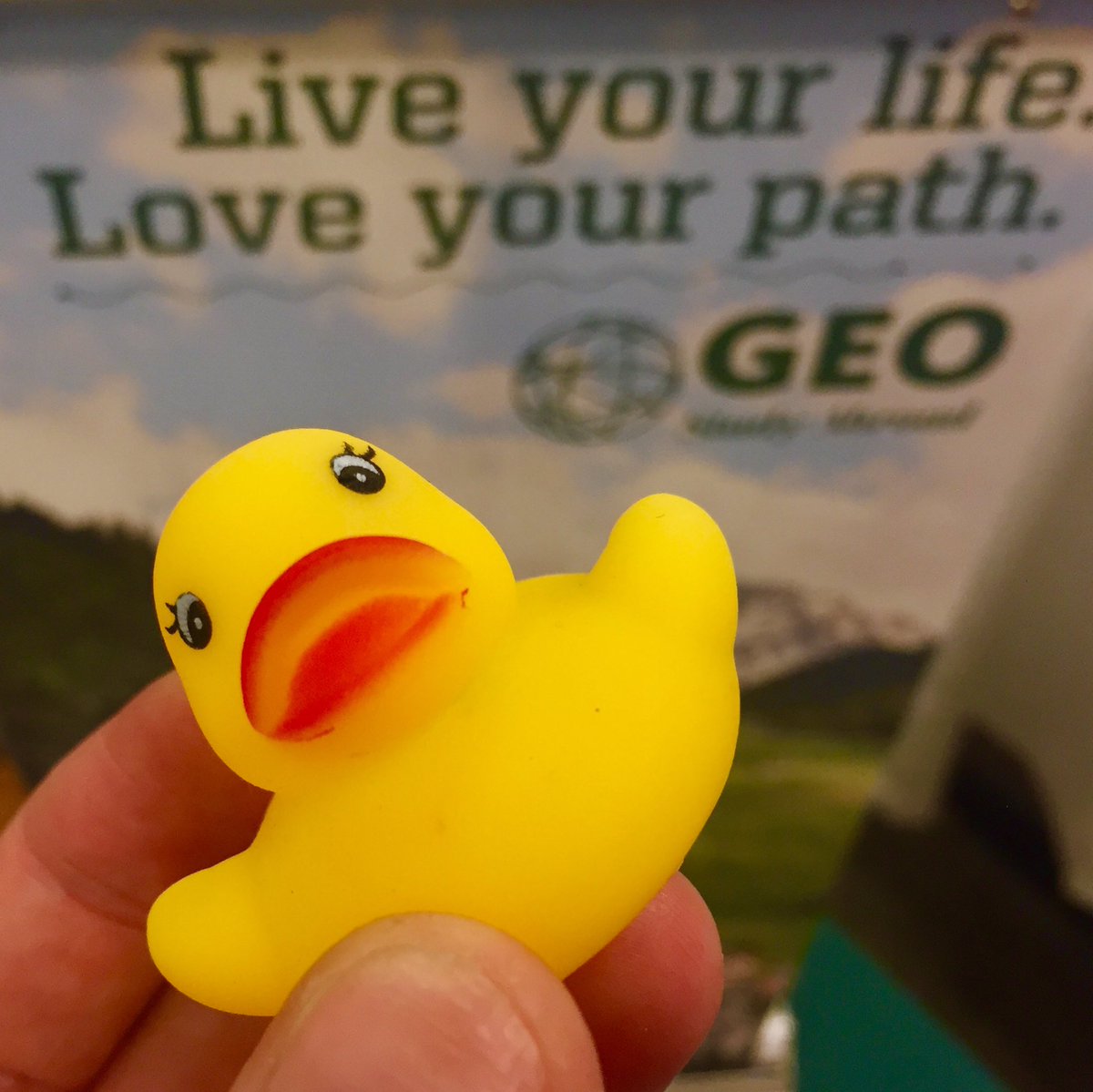 That’s right folks, Mary’s in Tacoma! <a href="/PLUNEWS/">Pacific Lutheran University</a> students come and say hello at the study away fair this afternoon #plu #pacificlutheranuniversity #studyaway #studyabroad #geoabroad #geolondon #london #pluwangcenter @PLUWangCenter #liberalarts