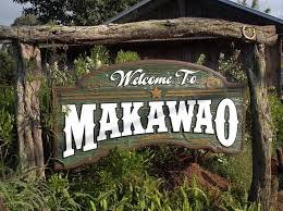 Nail Head Gone is used in Makawao , Maui ,Hawaii
#nailheadgone.com #DIY #coastalhomehacks