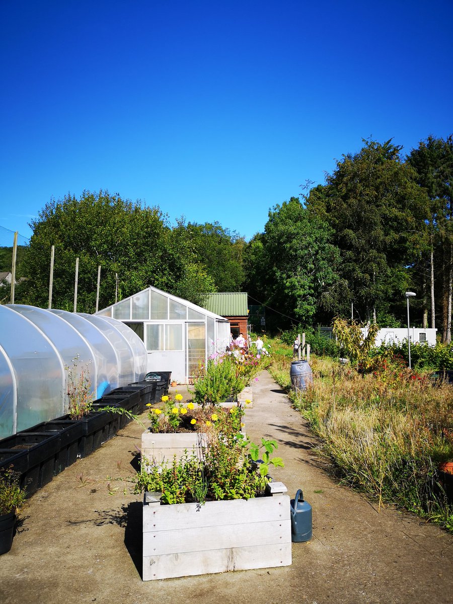 CymoeddILS's tweet photo. A brilliant team effort by E3 Construction groups from Ystrad and Nantgarw this week! The Green Zone has seen a huge transformation with a soon to be completed wildlife pond, sensory garden and shop, while our E3 Catering group have begun growing their own herbs and spices! 🌶️🌱 https://t.co/meGdEfdu01