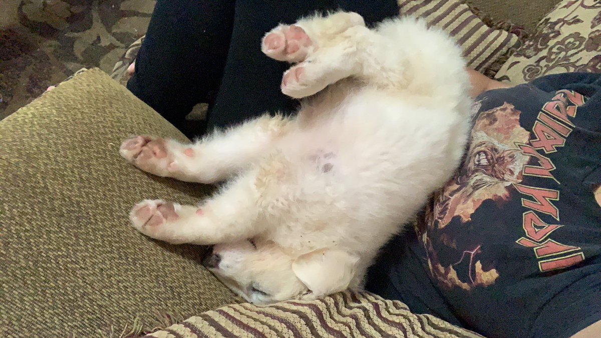 Deeeyeenaye's tweet photo. I think she’s broken. 🙃🖤 https://t.co/CQSKDj8gK9