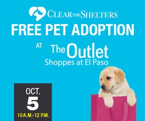 OutletElPaso's tweet photo. Calling all pet accessories vendors! Please email elpasomk@horizongroup.com for details.  🐩🐕https://t.co/vv2i3YKsqI https://t.co/kF1n9DNEsK