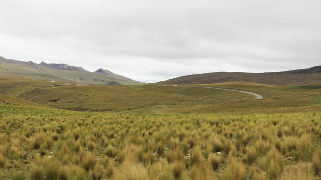 🛤️#Apurímac: La vía Saywite-Cachora, una de las rutas de acceso hacia la fortaleza de #Choquequirao, recibió la buena pro para su mantenimiento. La inversión del MTC, vía <a href="/ProviasDes_Pe/">Provías Descentralizado</a>, asciende a más de S/ 7 millones y servirá para impulsar el turismo➡️bit.ly/2kEmqvf