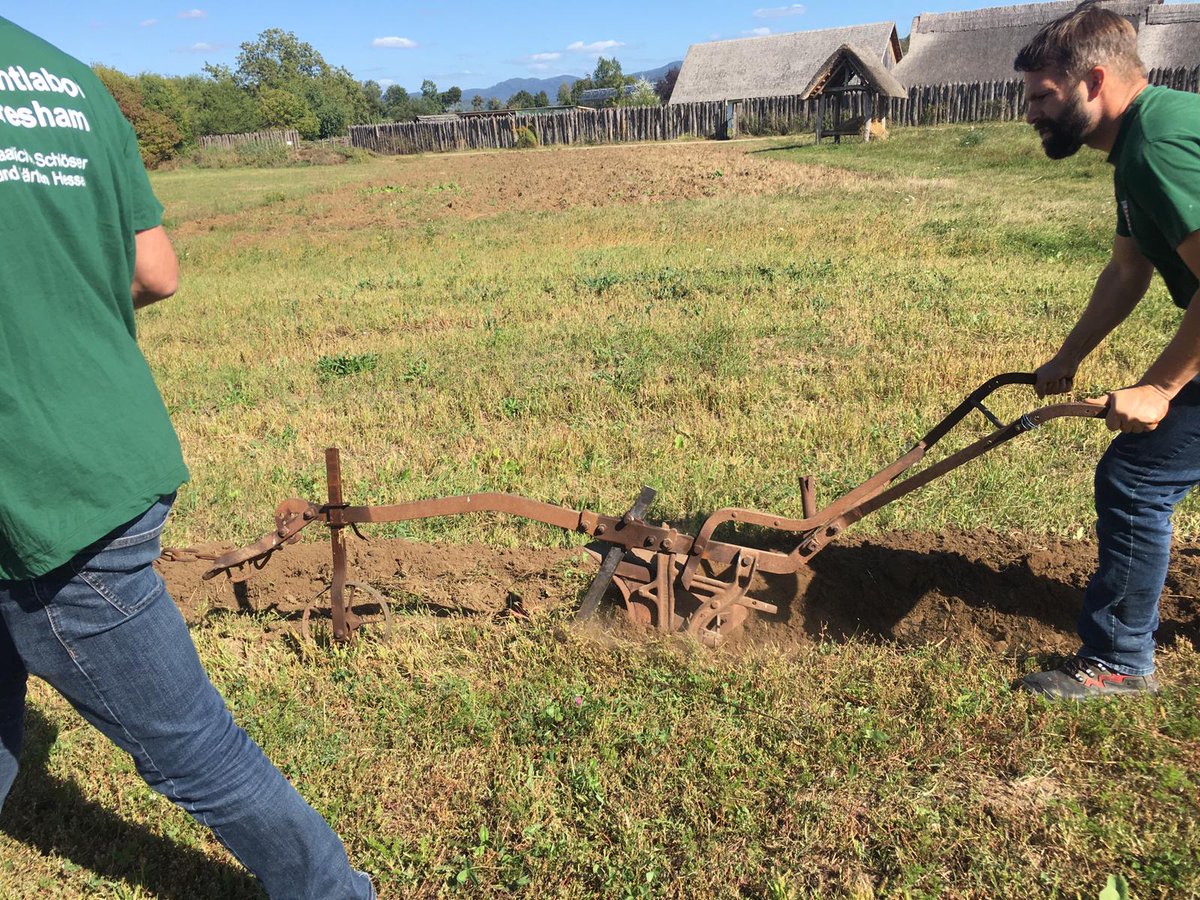 Claus Kropp on X: Testing some fine 20th century ploughing equipment for  my draft experiments and our agricultural project in Lauresham. Good times  #oxen #plough #lauresham t.co9QTjHXVIg8  X