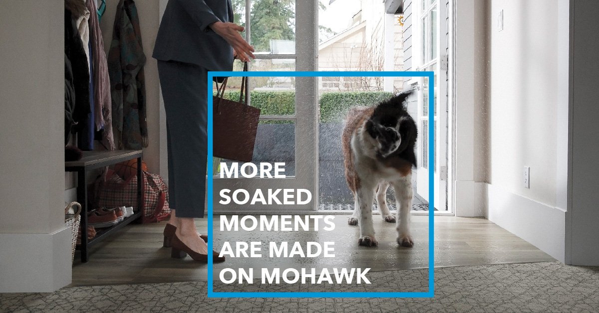 AltimateFloors's tweet photo. All is forgiven with scratch-resistant and easy-to-clean Mohawk All Pet floors. Only All Pet’s warranty covers all… https://t.co/7bsI5bo9KZ https://t.co/xXpNwrrJkv
