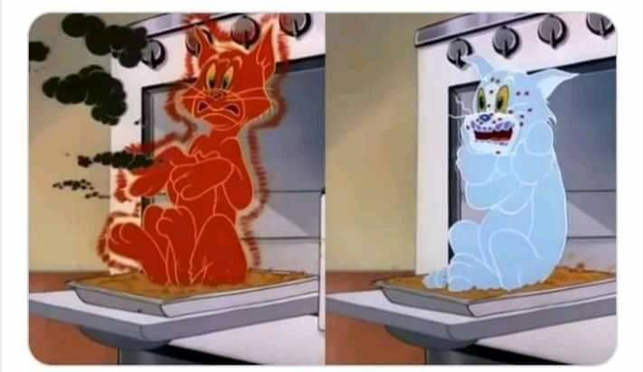 HarshVaity3's tweet photo. Students in kitchen practicals v/s
Students in bakery practicals
.
#hoteliers 😂 https://t.co/4Hfo89fvJV