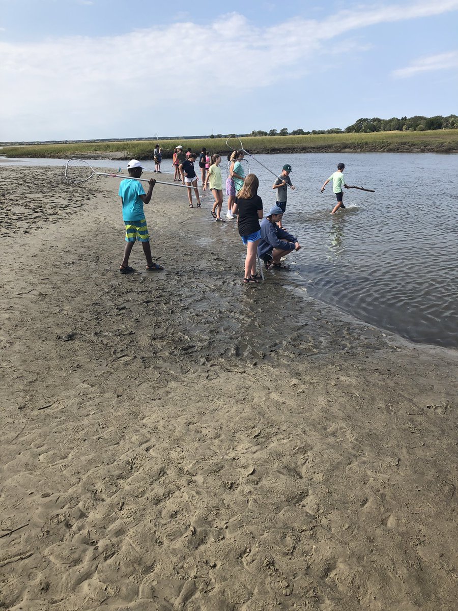 TimAlfordTLS's tweet photo. Teachers are more patient, and successful, crabbers than students this far https://t.co/a6ADhe2BC4