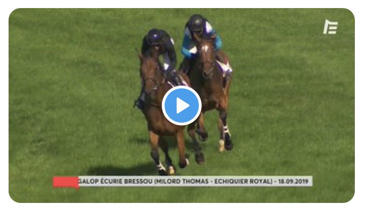 De retour sur les pistes avec mon compagnon d’écurie Échiquier Royal. Auteuil, nous voilà ! youtu.be/QH9f7HFGvCA