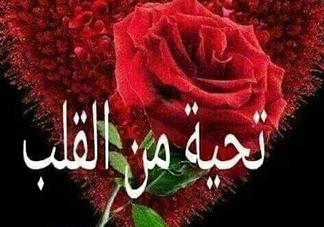 Nader465908's tweet photo. @princess_4244 https://t.co/a4n9D50q6N