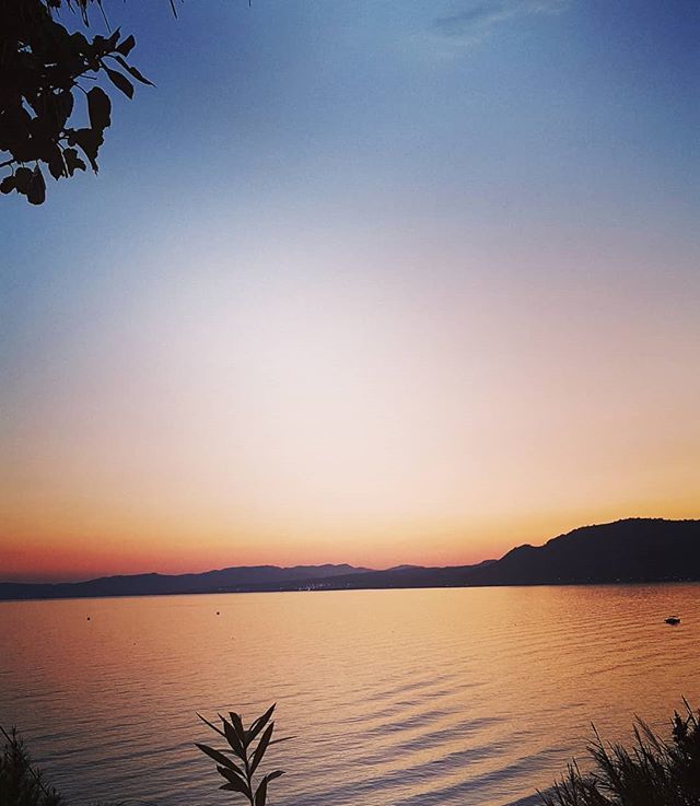 LindianCollect's tweet photo. Perfectly calm Pefkos at dusk 🌅 
#Pefkos #mypefkos #travel #traveltheworld #holidays #summer2019 #greece #summerinpefkos  #greecelover #rhodes #iloverhodes #islandlife #discovergreece #greeksummer #visitgreece  #instagreece #greecelover #iloverhodes … https://t.co/WWSlSeq5JL https://t.co/hEycA1BNkE