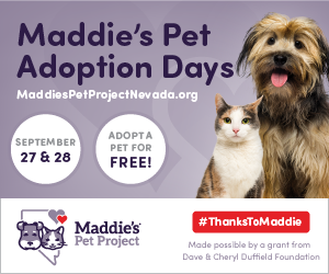 PetProjectNV's tweet photo. Have you heard? All dogs and cats will be free to adopt for Maddie’s Pet Adoption Days on September 27 and 28 when @PetProjectNV will cover adoption fees! P.S. Standard adoption policies still apply for priceless love. #Adopt #ThanksToMaddie https://t.co/pH3ram0k0h