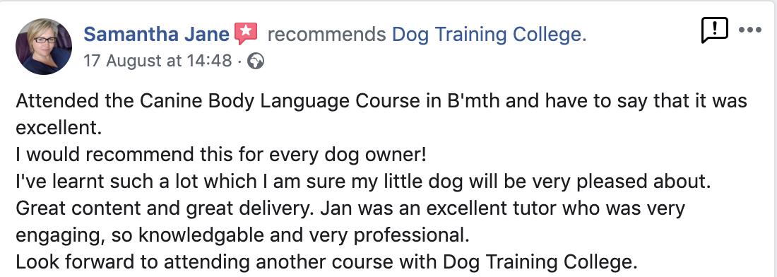 DTC_Limited's tweet photo. Sitting on the fence about joining us on one of our workshops? 🤔

Did you know we have over 455 reviews on Trustpilot you could read before making up your mind about taking our workshop?

Don't take our word for it, have a look! 👇👇

https://t.co/9nYWdoFw77 https://t.co/c708TCdmIT
