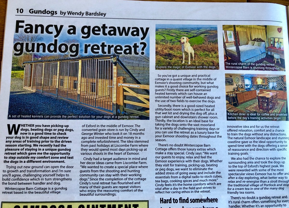 Fell in love with #Exmoor earlier this year and had a wonderful stay at a unique #gundog retreat. Check out my latest article in <a href="/CountrymansW/">The Countryman's Weekly</a> tinyurl.com/y5rahjtq #workingdogs #holidayhome