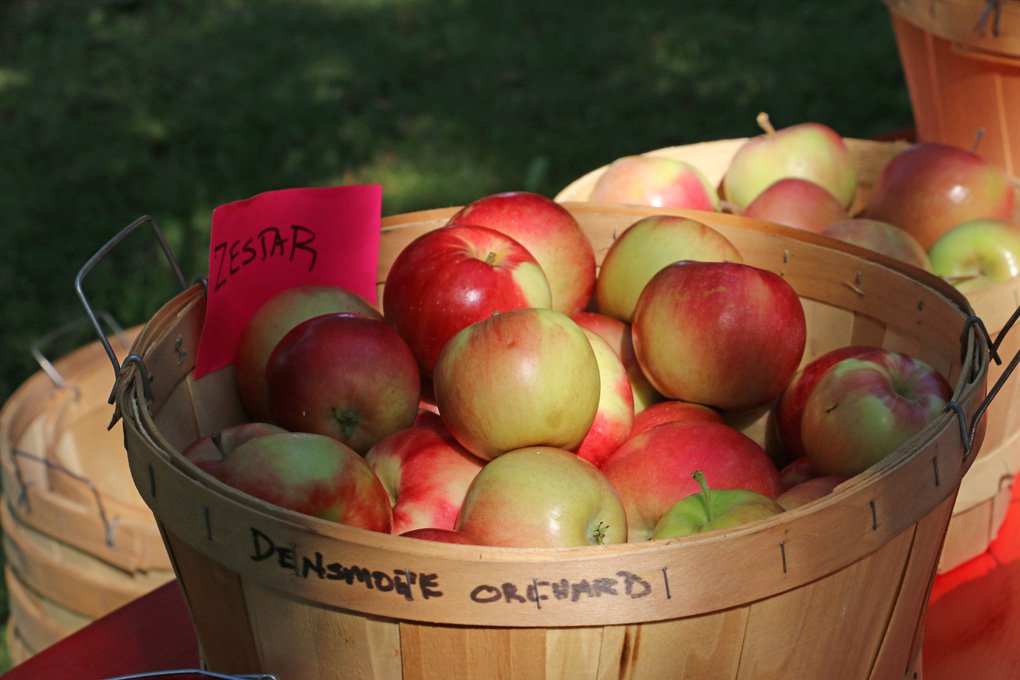 Ride our Johnny Appleseed Express this weekend! 
 conwayscenic.com/blog/johnny-ap…  #whitemountains #northconway