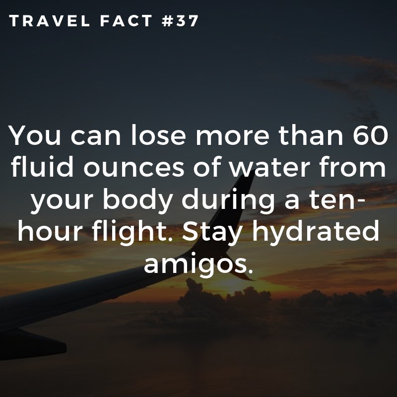 FunctionalTrav1's tweet image. 💧💧💧💧💧
functionaltraveller.com