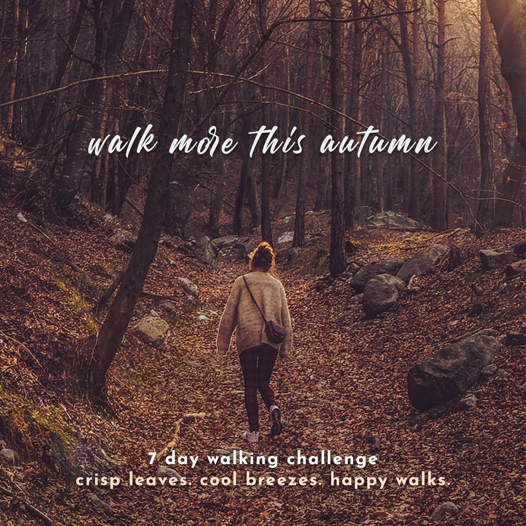 100walks's tweet photo. Take advantage of this magical season by walking more. Join the #autumnWalksChallenge.  7 walks in 7 days. https://t.co/2ChgLMkZ6D https://t.co/TzzFxLSeQ2