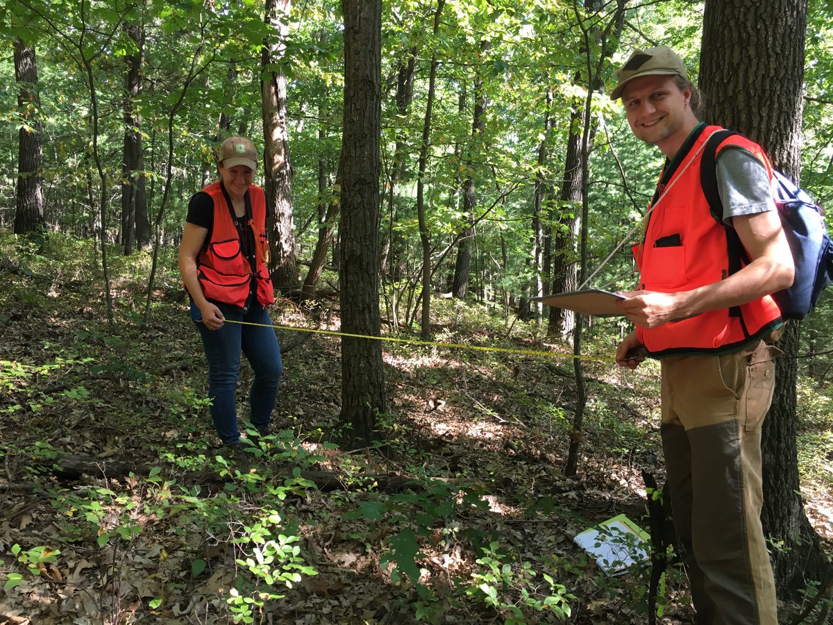 PSU_Forester's tweet photo. #PSUForestry students take Oak Silvah plots in the #StoneValley Forest to assess oak regeneration in Silviculture class ⁦@PSUecosystems⁩ https://t.co/tD7xd2mkg7