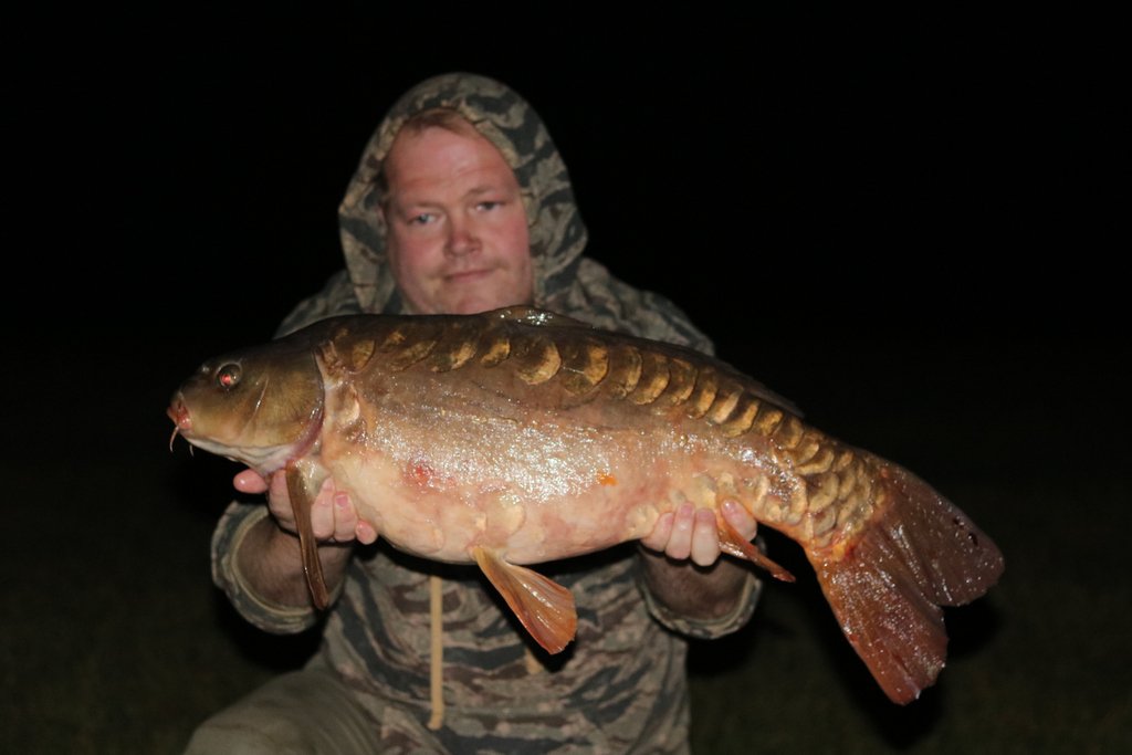 Urbancarpcoll's tweet photo. A late night mish for a fish proved fruitful for @mr2reem4you doing the doo. Koo koo ka choo!
Top Angling.
๐ฃ๐๐ฏ๐๐ฒ๐ฅ๐ธ๐ข๐
#uccrep #uccmerch #carplife #carpy #thatscarpy #oncarp #carpwatch #ucccarp #carpangling #karp #catchandrelease #thatscarpy #commoncarp #mirrorcarp #peche https://t.co/SrMNiL36m5