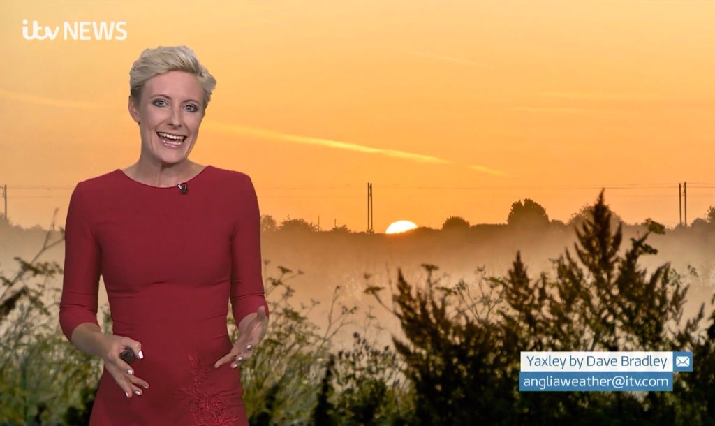 Dave Bradley tweet media