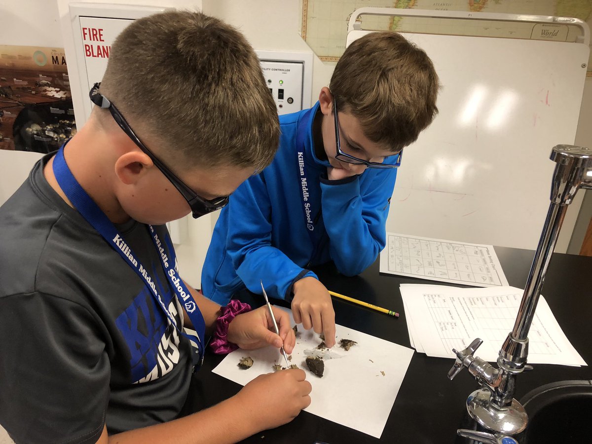 hillhollly's tweet photo. Owl Pellet dissection day! Building food webs using regurgitated matter. #KMS_GTScience @Killian_MS @SudovskyL https://t.co/lRoQtORAeF