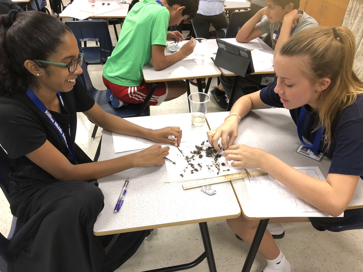 hillhollly's tweet photo. Owl Pellet dissection day! Building food webs using regurgitated matter. #KMS_GTScience @Killian_MS @SudovskyL https://t.co/lRoQtORAeF
