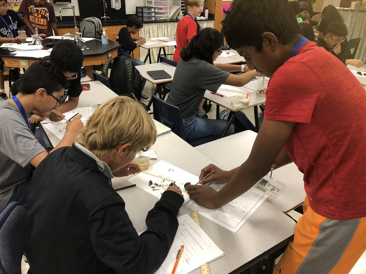 hillhollly's tweet photo. Owl Pellet dissection day! Building food webs using regurgitated matter. #KMS_GTScience @Killian_MS @SudovskyL https://t.co/lRoQtORAeF