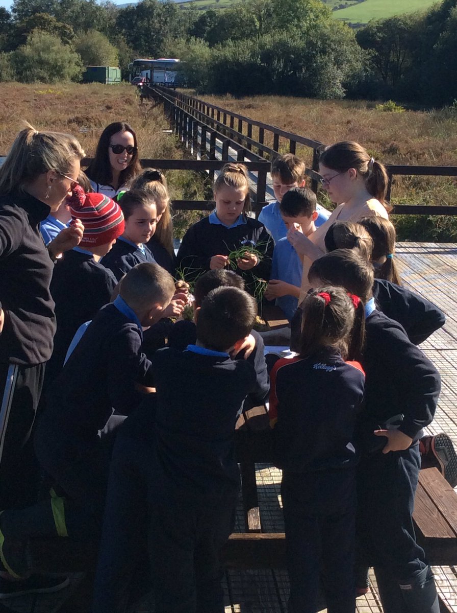 BallyhouraOC's tweet photo. Beautiful morning @BallyhouraOC with the wonderful children from #scoilfhionain #kilfinane #ballyhouracountry #outdoorlearning #raisedbogs https://t.co/izWn8hIOUY