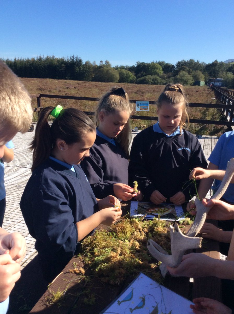 BallyhouraOC's tweet photo. Beautiful morning @BallyhouraOC with the wonderful children from #scoilfhionain #kilfinane #ballyhouracountry #outdoorlearning #raisedbogs https://t.co/izWn8hIOUY