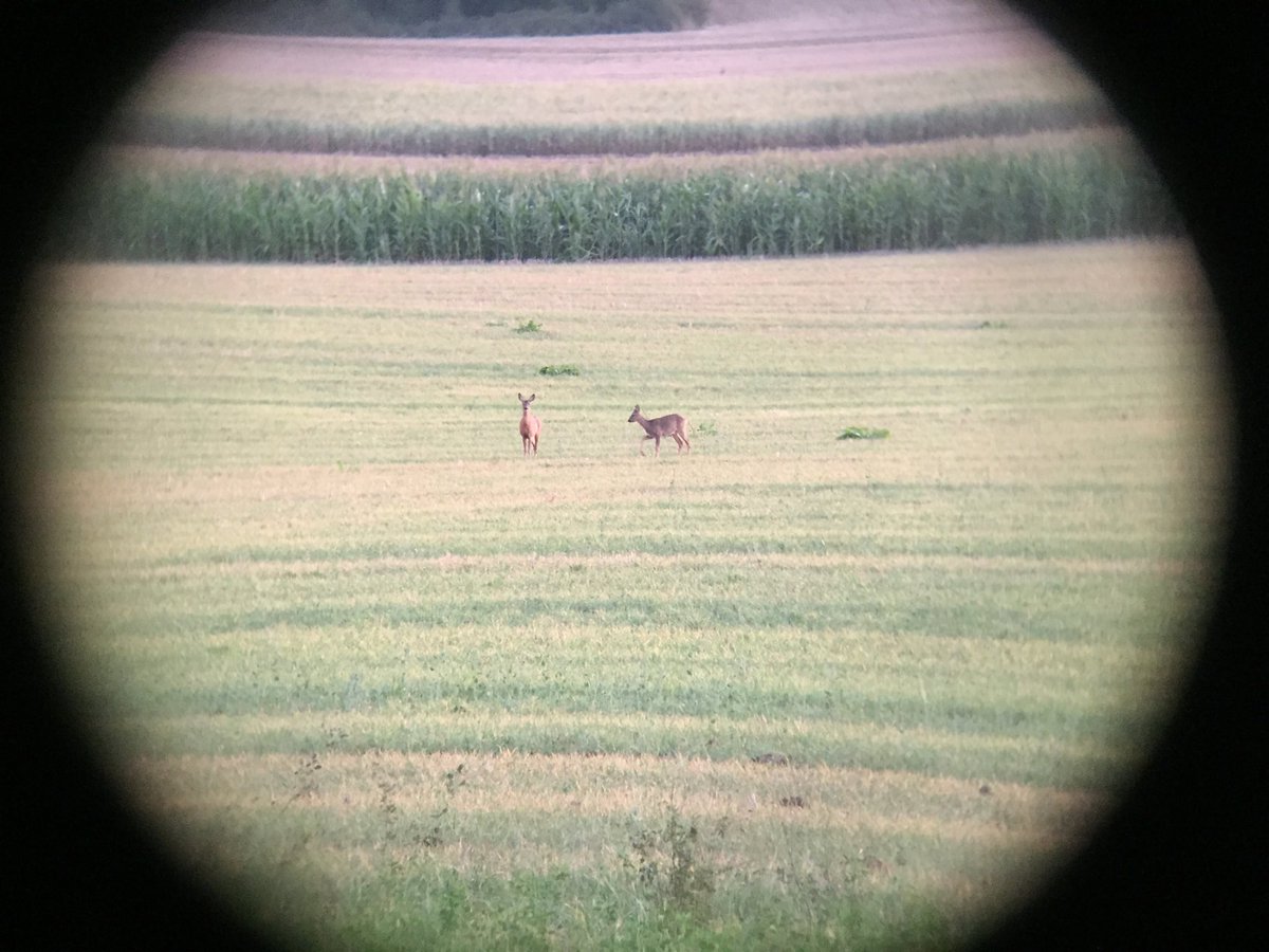 Anne 👩🌾 tweet media