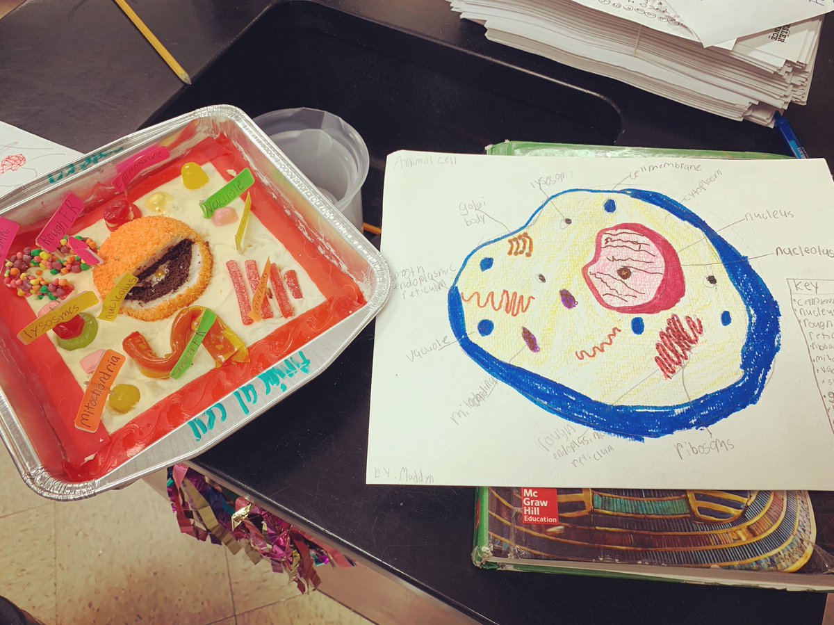 K_Fisher29's tweet photo. Check out one of our extra credit assignments that were turned in today!! 😍 So creative! I can’t wait to see more! 🙌🏻 https://t.co/s3z2FWGz0v