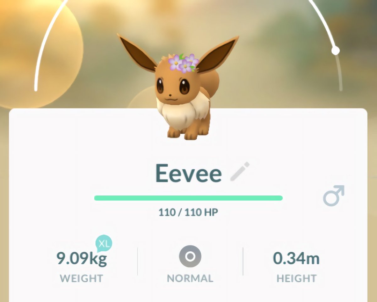 Tommi Sur Twitter Two More Flower Crown Eeveelutions Pokemon Pokemongo Leafeon Glaceon