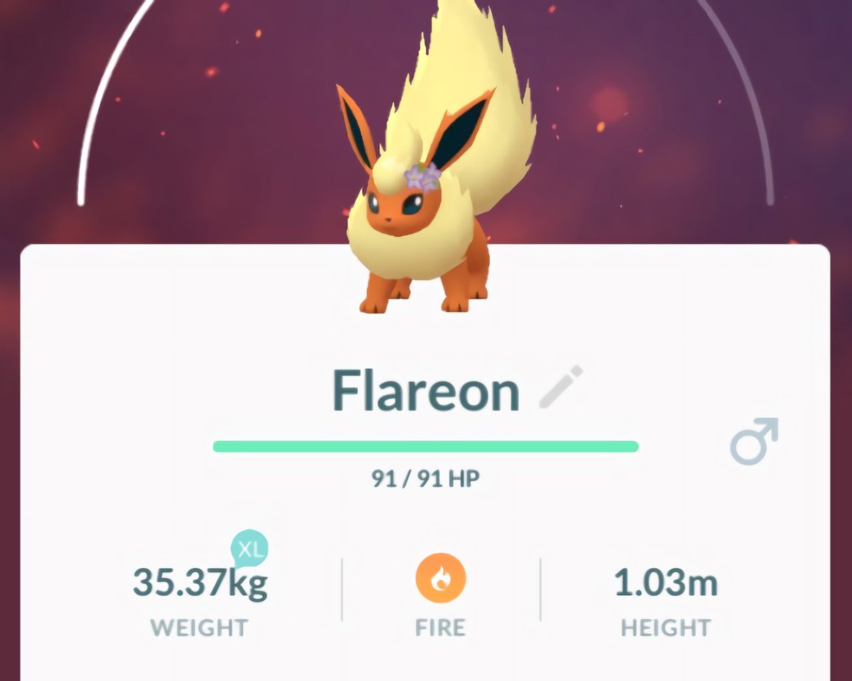 Tommi Sur Twitter Two More Flower Crown Eeveelutions Pokemon Pokemongo Leafeon Glaceon