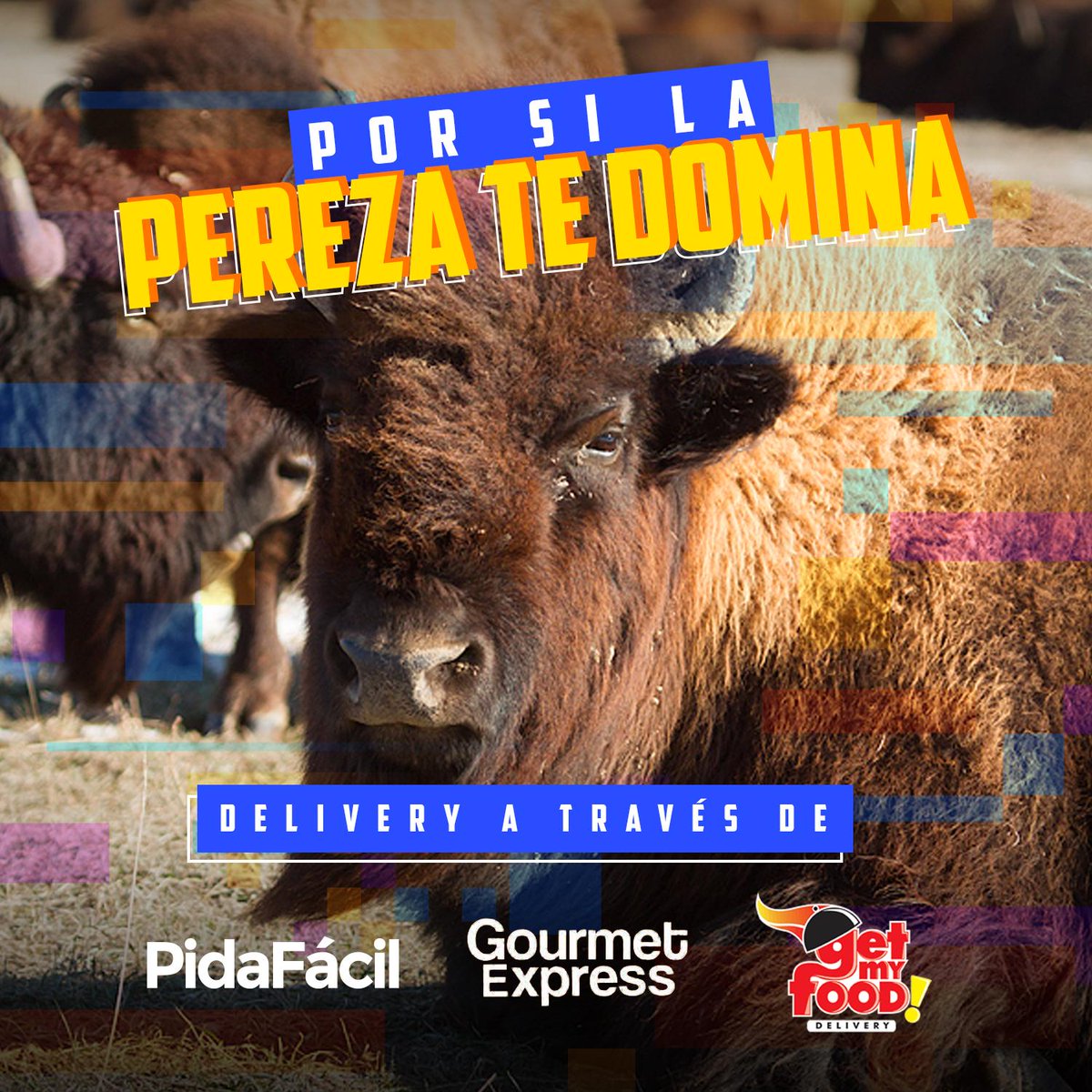 BWelsalvador's tweet photo. ¿Con PEREZA? Servicio a domicilio con: @GourmetExpress , @PidaFacil ó Get my food. https://t.co/TRS0e1SwMm