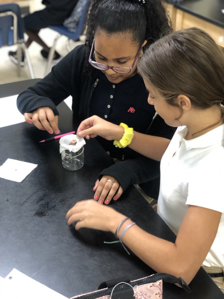 HAMOScience's tweet photo. Students made hypothesis, observations, wrote their own procedure and more as we explored the scientific method through hands lab by exploring the quality of different brands of toilet paper 🧻.  #WeAreMCPS
@theREALDonMaier @HorizonAcadFL https://t.co/Xrzg9c6tML