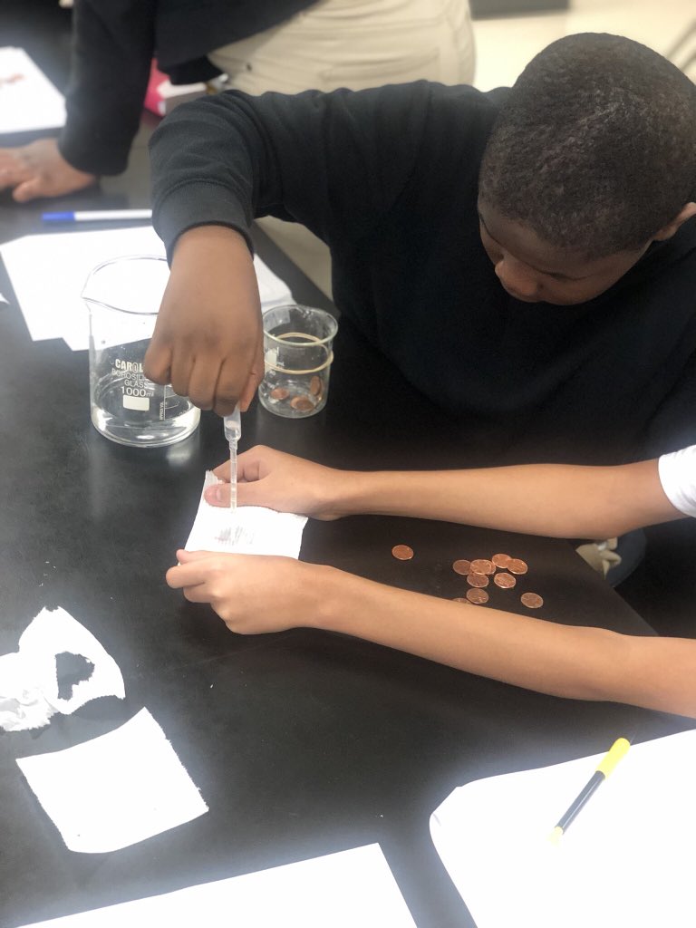 HAMOScience's tweet photo. Students made hypothesis, observations, wrote their own procedure and more as we explored the scientific method through hands lab by exploring the quality of different brands of toilet paper 🧻.  #WeAreMCPS
@theREALDonMaier @HorizonAcadFL https://t.co/Xrzg9c6tML