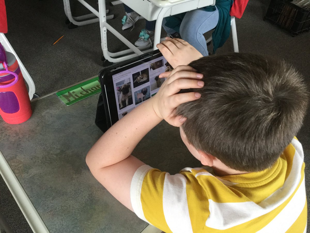 ErichaAnderson's tweet image. So excited to build relationships and get to know these sweet 3rd graders as I collaborate with their teacher to put #DLPCoaching plans into action! #weLearnVPS