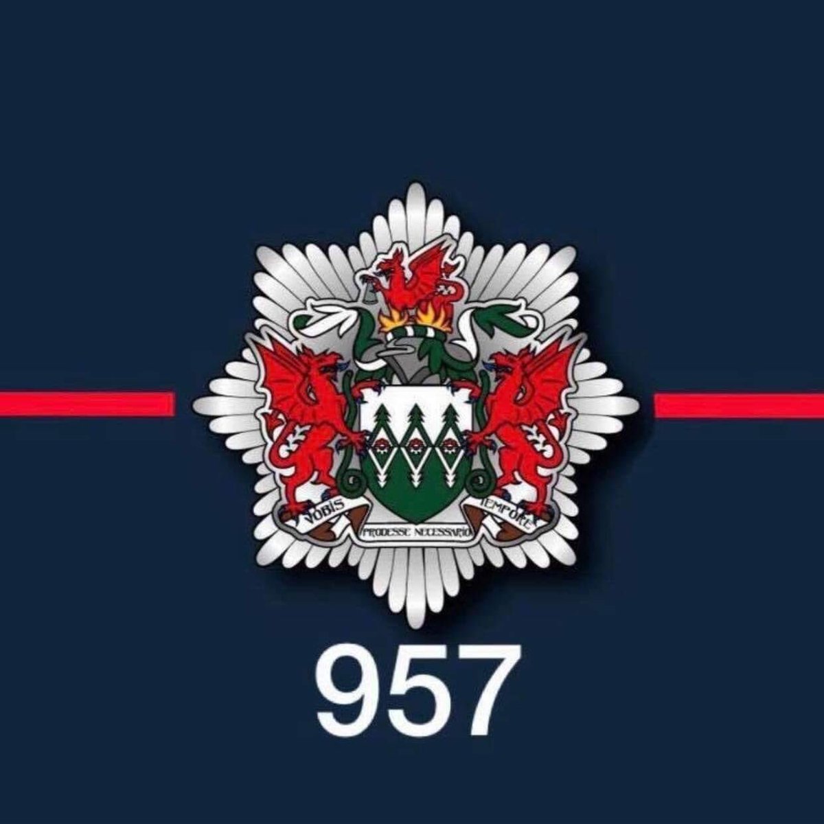 Teri-Ann Parry (@bubachparry) on Twitter photo 