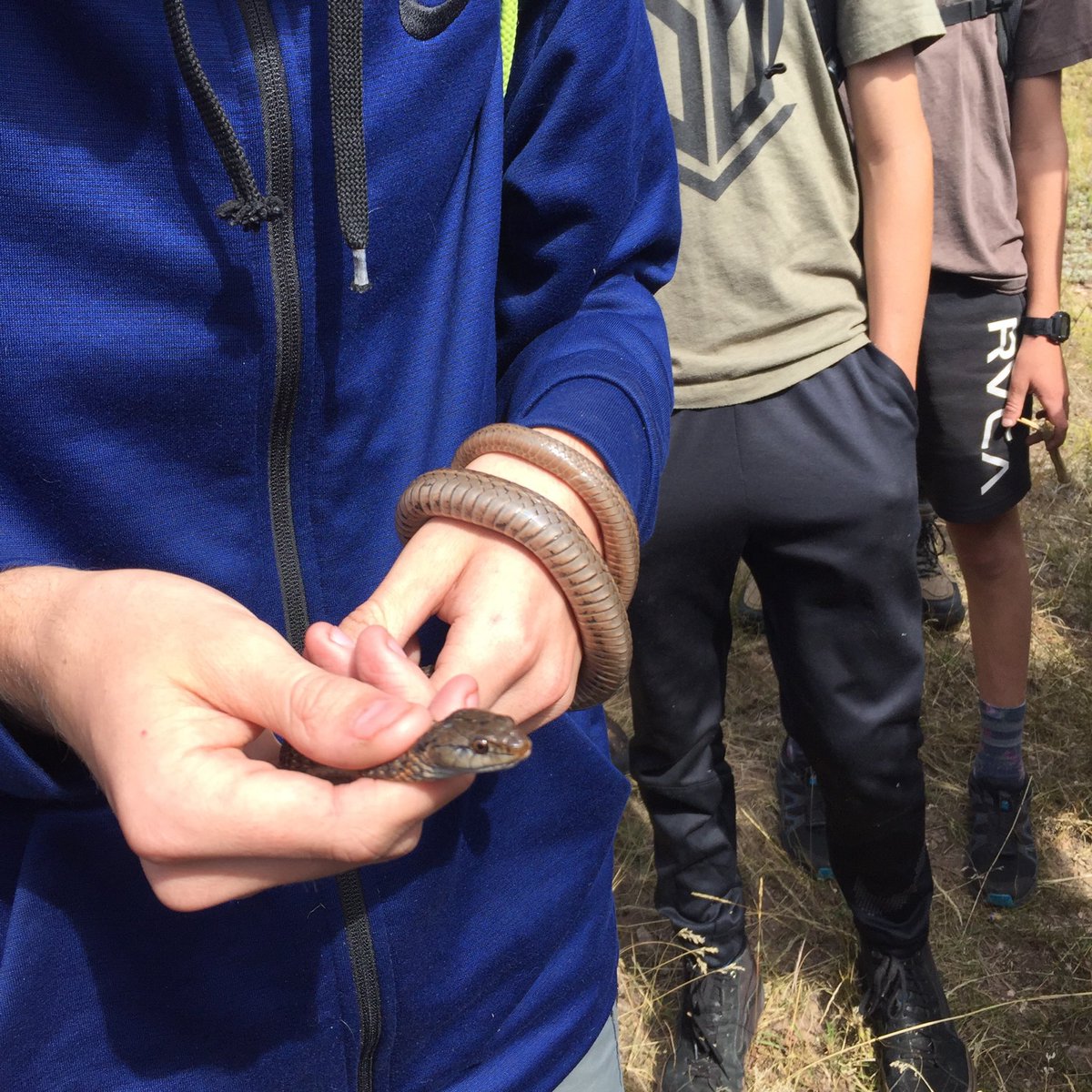 SandiaPrep's tweet photo. The first Outdoor Leadership Program excursions of the school year: A backpacking trip to the Cruces Basin and bouldering in Northern New Mexico. #SandiaPrep #OLP https://t.co/n3MLxlTzKl