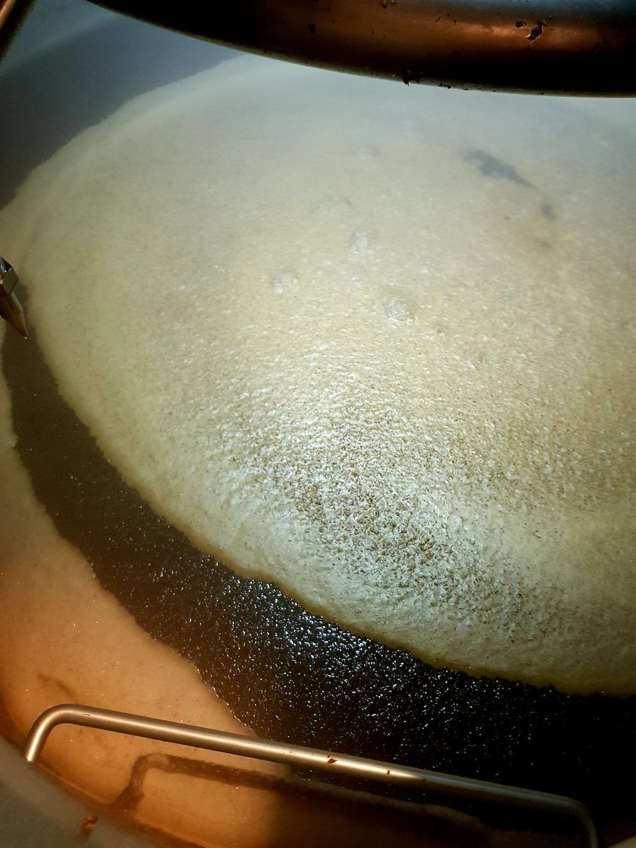andrew_brews's tweet photo. Jasmine, Cranberry and huge 1st runnings, must mean one thing... #StoutSeason #StoutsOut https://t.co/CMQaQBE4D4