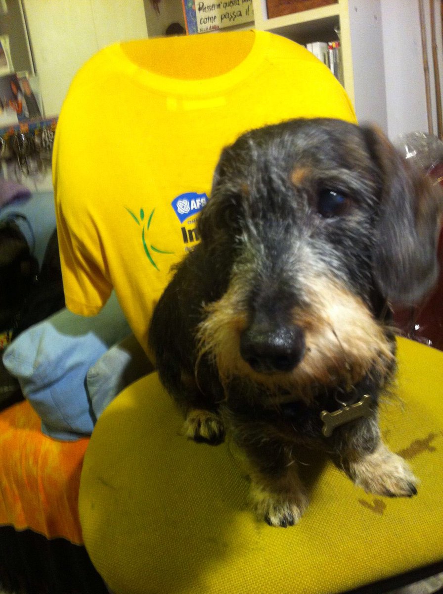 Sara Bentivegna tweet media