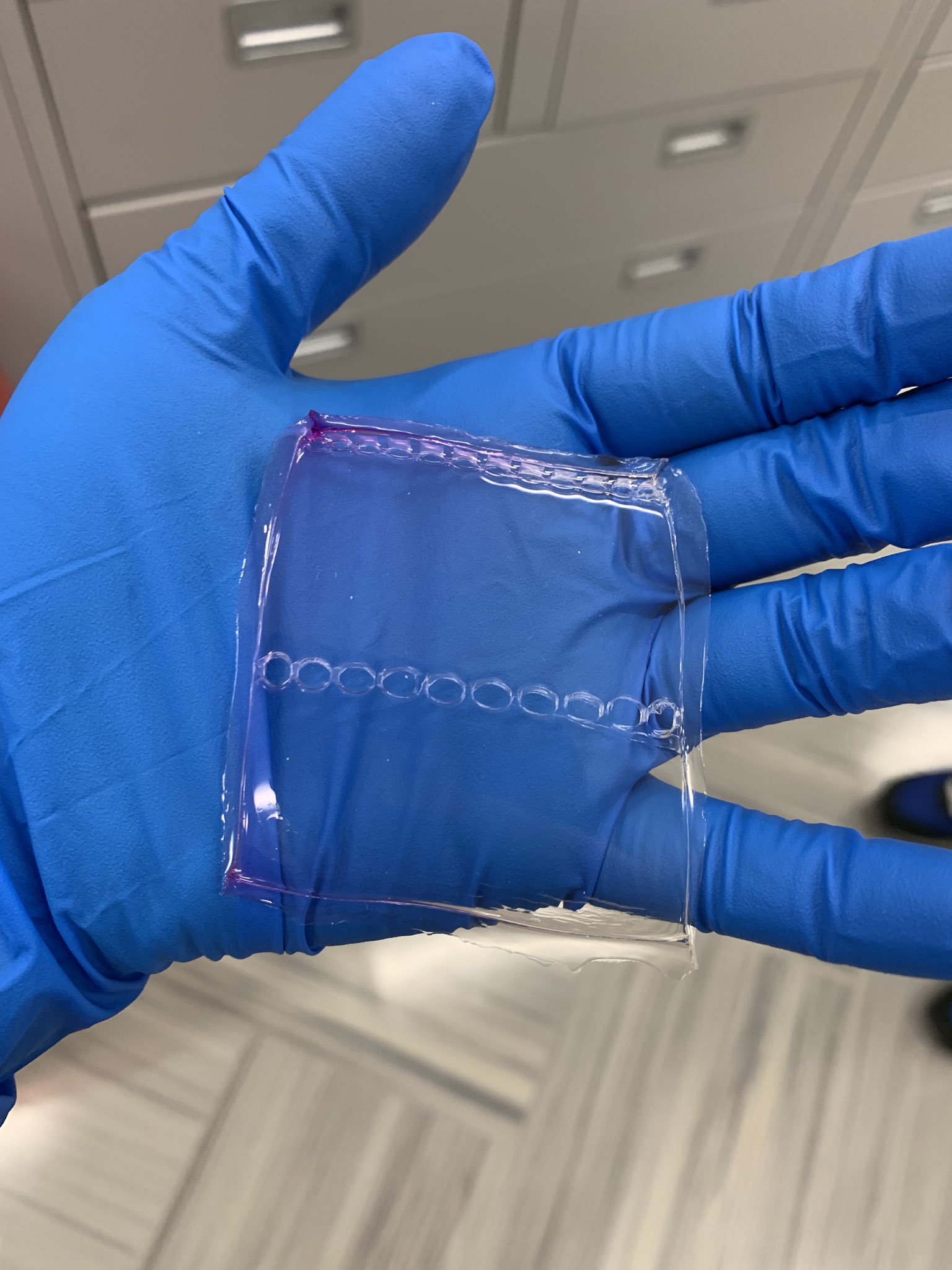 Ethidiumbromide Twitter Search Twitter